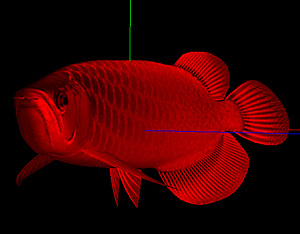 3D�N���X�^�������f�[�^�摜