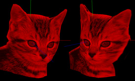 �y�b�g��3D�N���X�^���̃f�[�^�摜