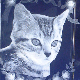 �y�b�g��3D�N���X�^��