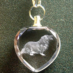 �ʐ^��2D�����̗�