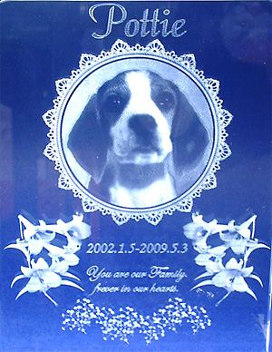 �ʐ^��2D�����̗�