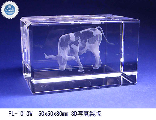 �ʐ^���̒����T���v��