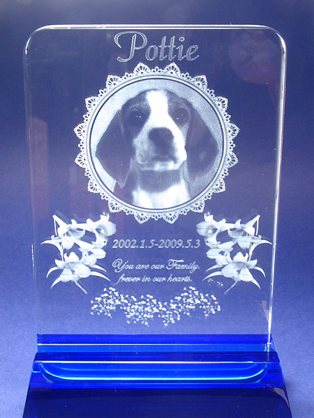 �z���C�g�O���X �v���[�g