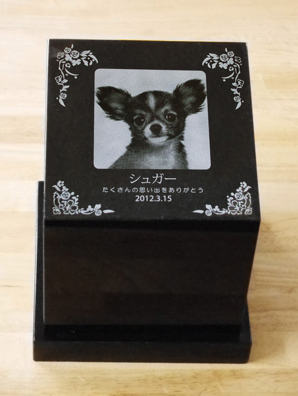 �y�b�g�� #135