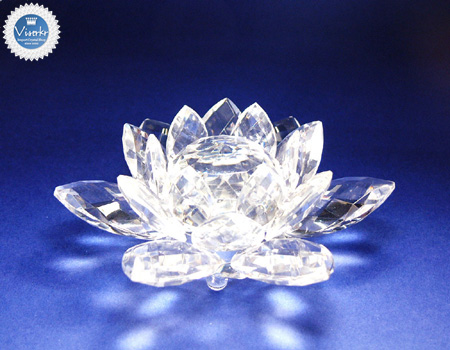 �{���� �@�� #50