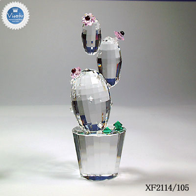 �T�{�e�� �N���A