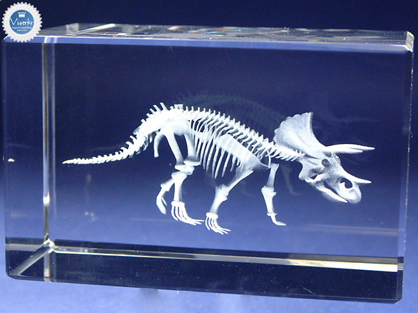 3D�N���X�^�� �g���P���g�v�X���i �ʐ^��