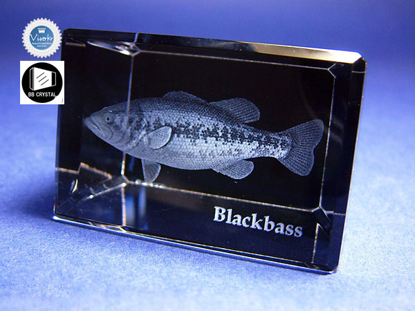 3D�N���X�^�� �u���b�N�o�X �ʐ^��