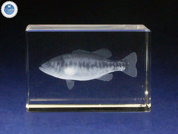 3D�N���X�^�� �u���b�N�o�X �ʐ^��