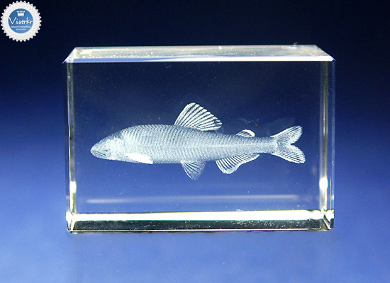 3D�N���X�^�� �A�� �ʐ^��