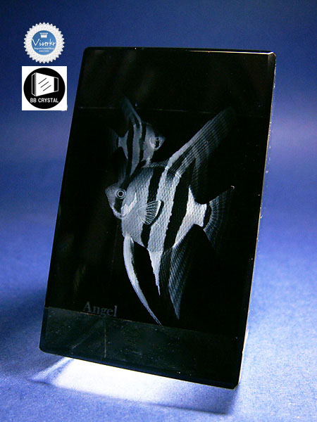 3D�N���X�^��  �G���[���t�B�b�V�� �ʐ^��