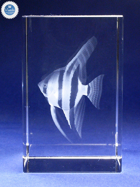 3D�N���X�^��  �G���[���t�B�b�V�� �ʐ^��