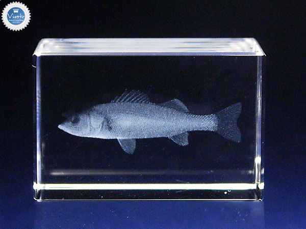 3D�N���X�^��  �X�Y�L �ʐ^��