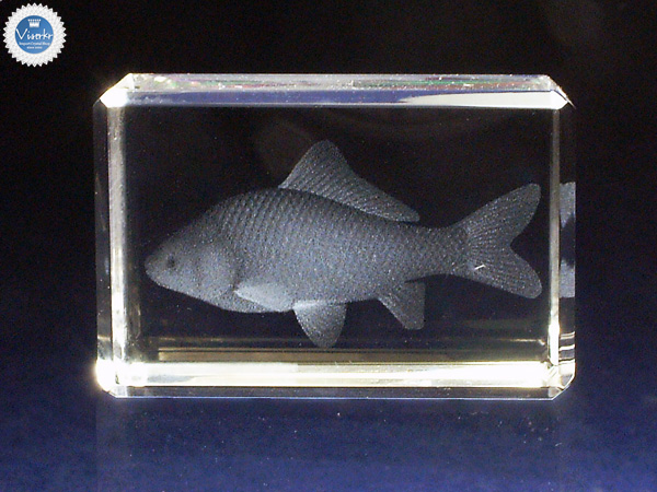 3D�N���X�^��  �w���u�i �ʐ^��