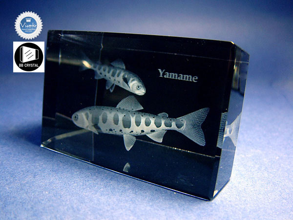 3D�N���X�^��  ���}�� �ʐ^��