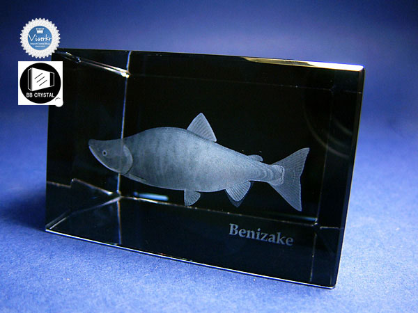 3D�N���X�^��  �g�� �ʐ^��