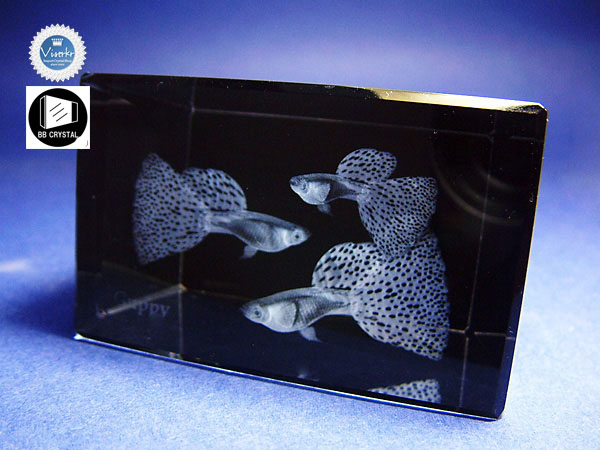 3D�N���X�^��  �O�b�s�[ �ʐ^��