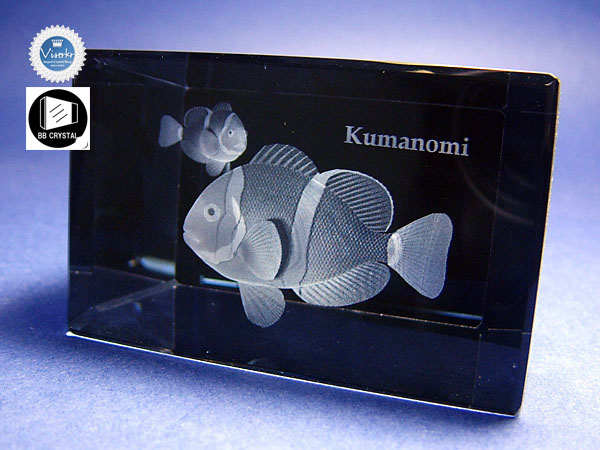 3D�N���X�^��  �N�}�m�~ �ʐ^��