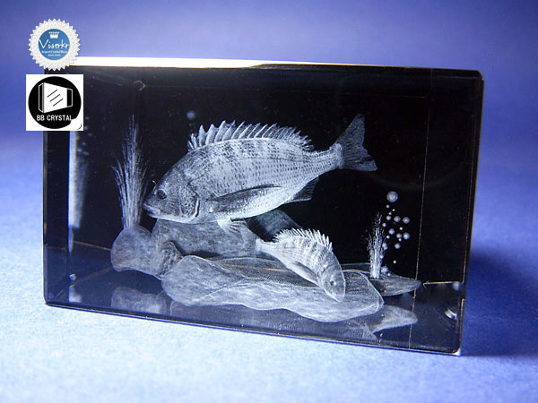 3D�N���X�^��  �N���_�C �A�N�A���E��