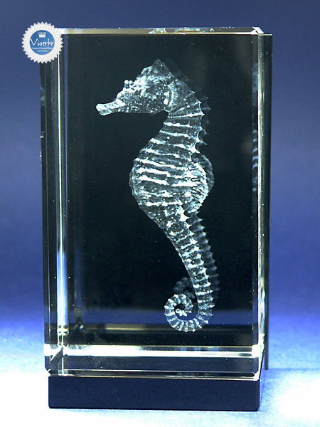 3D�N���X�^��  �^�c�m�I�g�V�S �ʐ^��