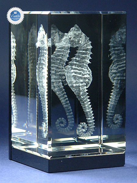 3D�N���X�^��  �^�c�m�I�g�V�S �ʐ^��