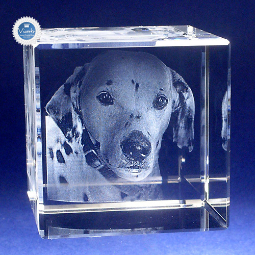 �ʐ^�̗��̒��� �y�b�g