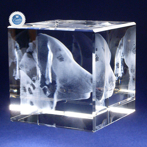 �ʐ^�̗��̒��� �y�b�g