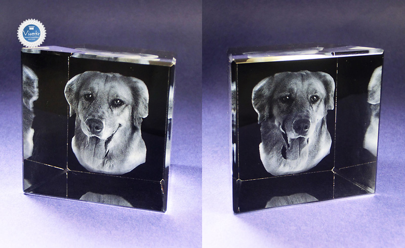 �ʐ^�̗��̒��� �y�b�g