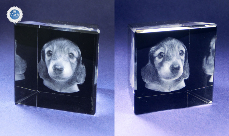 �ʐ^�̗��̒��� �y�b�g