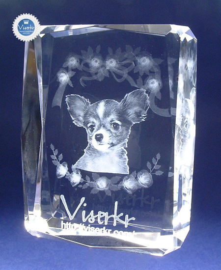 �ʐ^�̗��̒��� �y�b�g