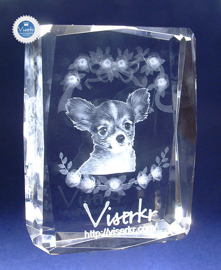 �ʐ^�̗��̒��� �y�b�g