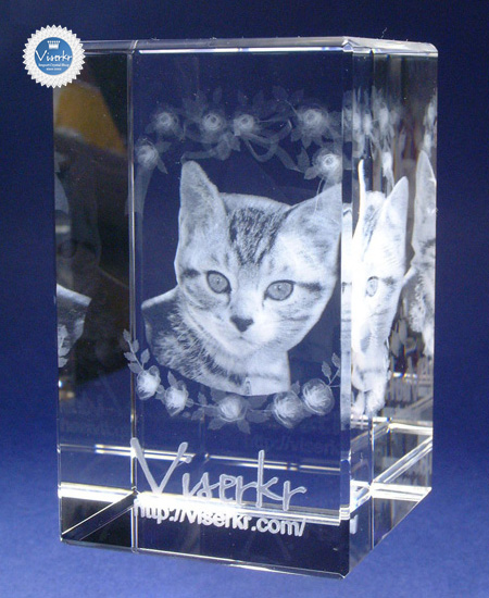 �ʐ^�̗��̒��� �y�b�g