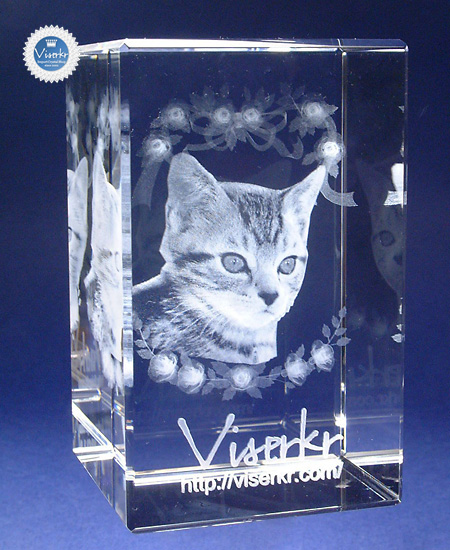 �ʐ^�̗��̒��� �y�b�g