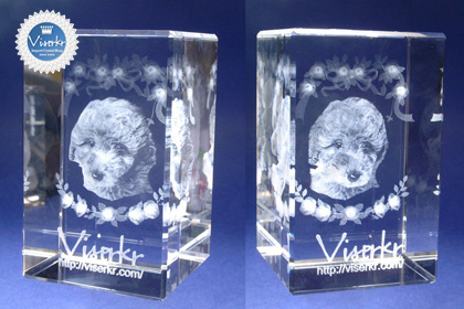 �ʐ^�̗��̒��� �y�b�g