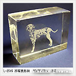 3D�ʐ^�����T���v��