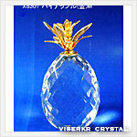 �p�C�i�b�v���i��)