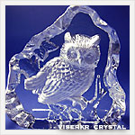 �N���X�^���� �^���[���� �t�N���E