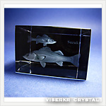 3D�N���X�^��  �X�Y�L �ʐ^��