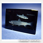 3D�N���X�^��  �A���}�X �ʐ^��