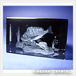 3D�N���X�^��  �N���_�C �A�N�A���E��