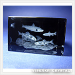 3D�N���X�^��  �k���̋� �A�N�A���E��