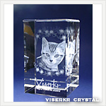 �ʐ^�̗��̒��� �y�b�g