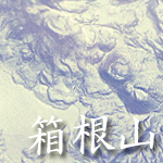 3D�N���X�^���S���R�u�����R�v